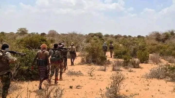 Duleedka Lamagaras.jpg